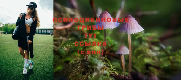 ГАЛЛЮЦИНОГЕННЫЕ ГРИБЫ Навашино