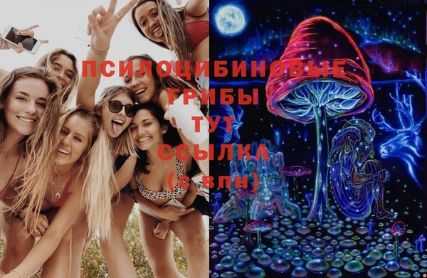 соль курить ск Надым