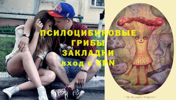 ГАЛЛЮЦИНОГЕННЫЕ ГРИБЫ Навашино